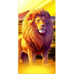 Lion
Safari